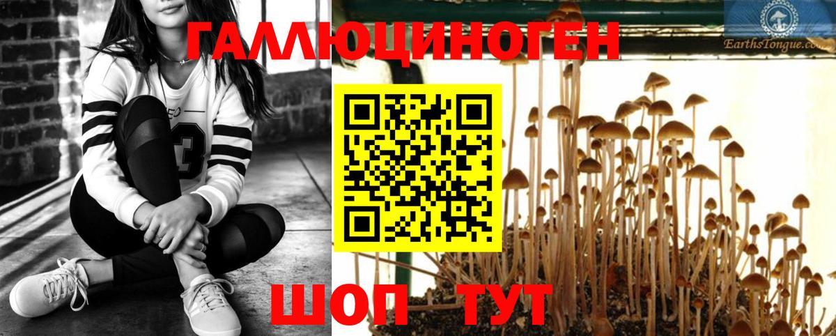 Астрахань  Псилоцибиновые грибы ЛСД  как найти   Вход с VPN 